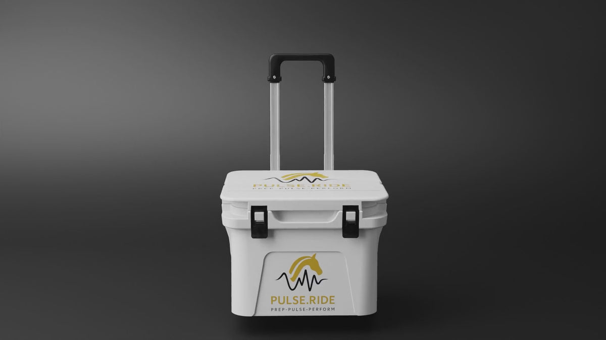 Pulse.Ride One | Digital Pulse Technology for Horses